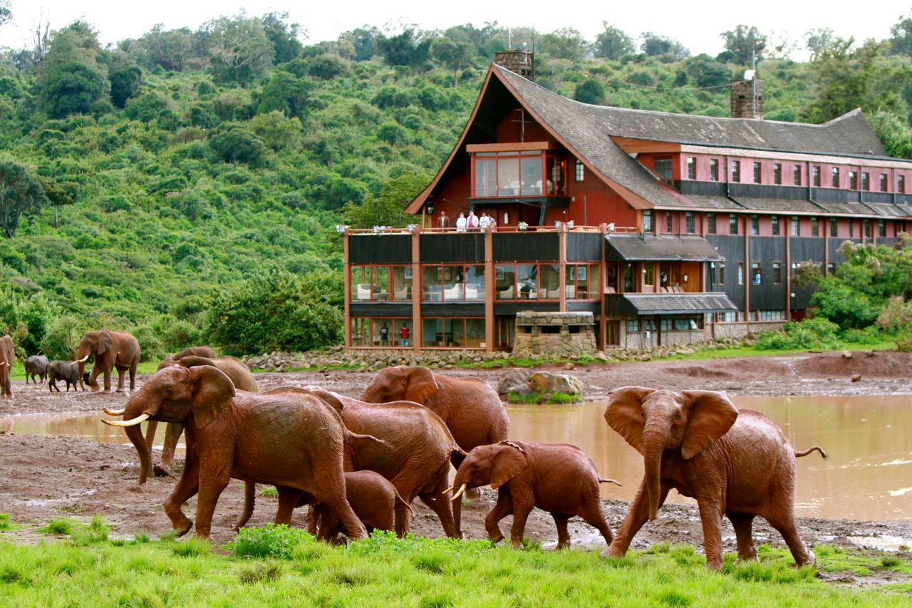 The Ark Lodge Nyeri Bagian luar foto