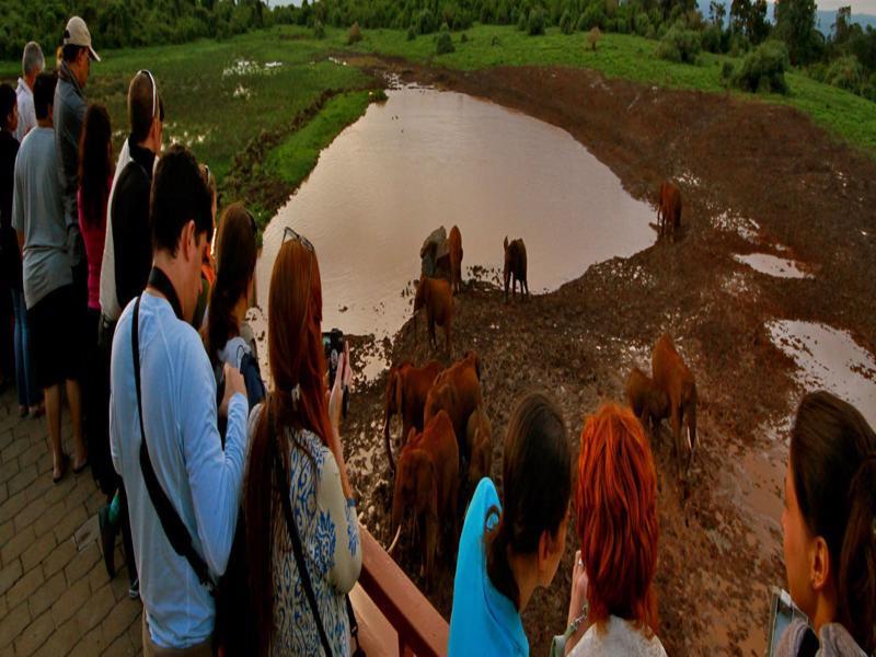 The Ark Lodge Nyeri Bagian luar foto