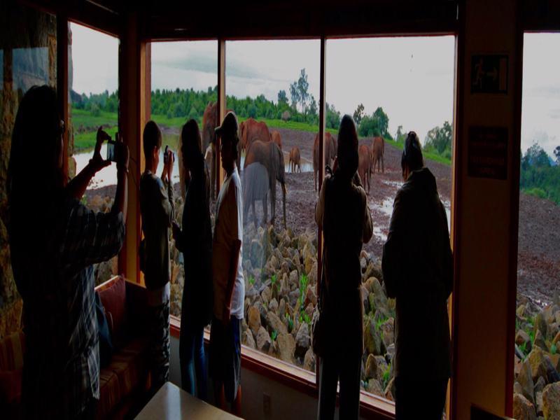 The Ark Lodge Nyeri Bagian luar foto